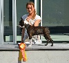  - Tennessee Meilleur Puppy en Norvège !