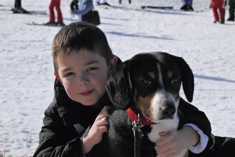 Publication : De Brapêche Auteur : marcehluss.com