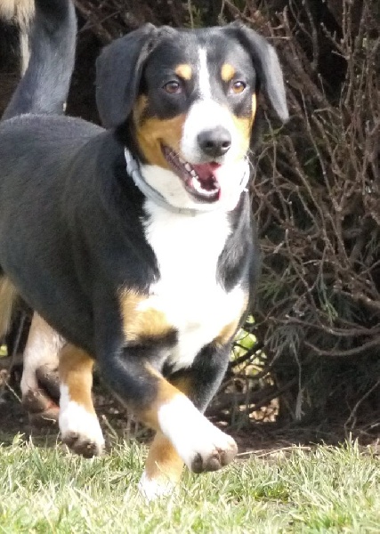 Publication : De Brapêche Auteur : marcehluss.com