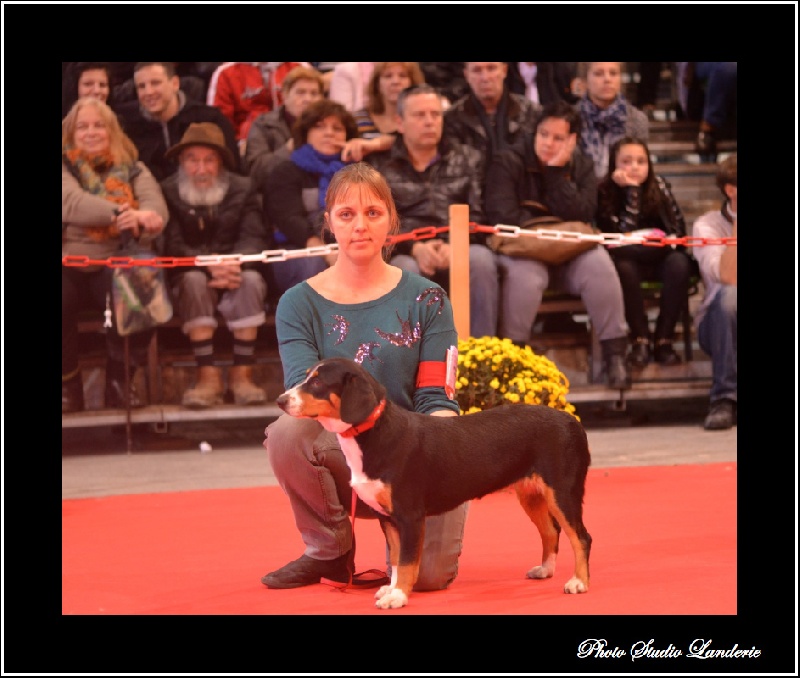 Publication : De Brapêche Auteur : marcehluss.com