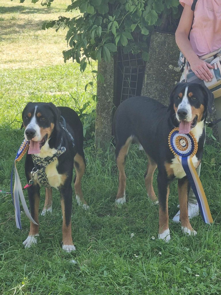 Tisà De Brapêche - 1 er excellent, meilleur jeune