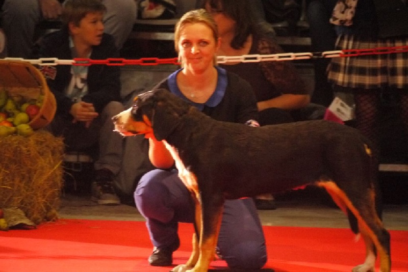 CH. Joly-coeur De Brapêche - 1er très prometteur, best puppy