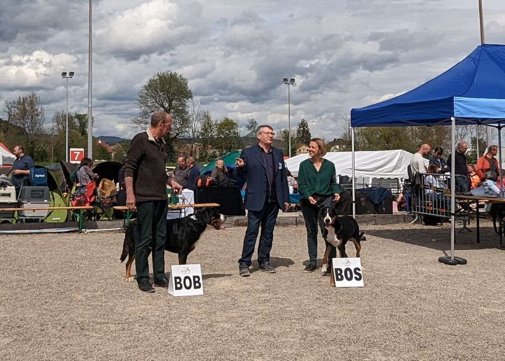 Tisà De Brapêche - 1 er excellent, meilleur de sexe opposé, meilleur jeune