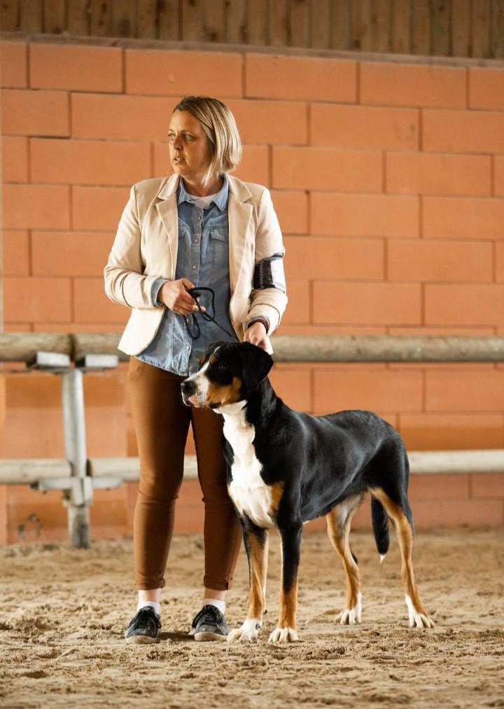 Tisà De Brapêche - 1 er excellent, meilleur jeune