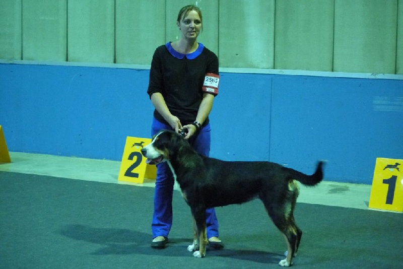 CH. road to helvetia Flores - CACL