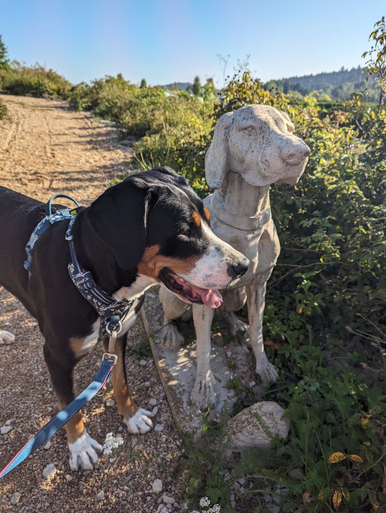 Tisà De Brapêche - Excellent