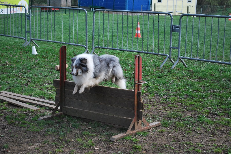 Publication : Of Queen Mum Auteur : Lupo Virginie