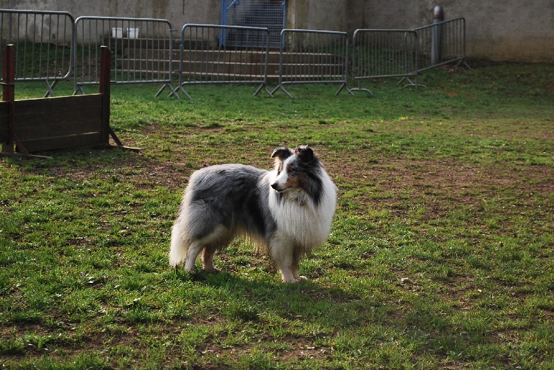 Publication : Of Queen Mum Auteur : Lupo Virginie