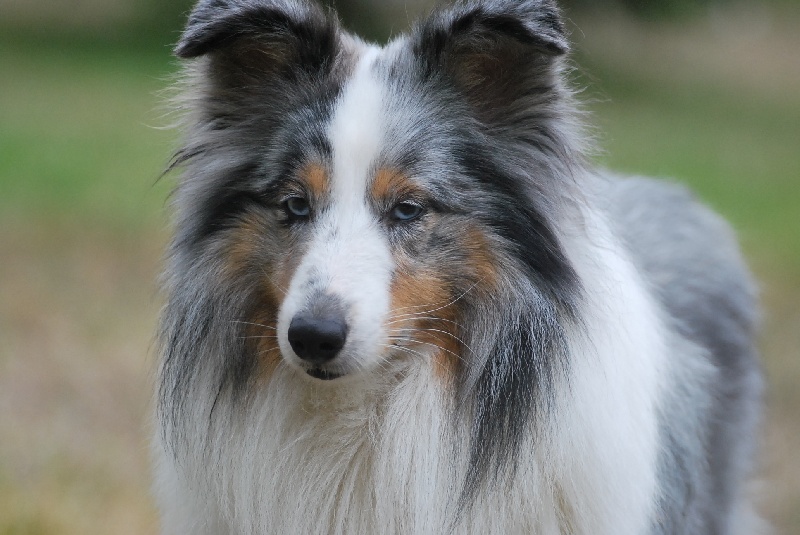 Publication : Of Queen Mum Auteur : Lupo Virginie