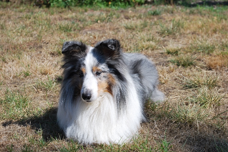 Publication : Of Queen Mum Auteur : Lupo Virginie