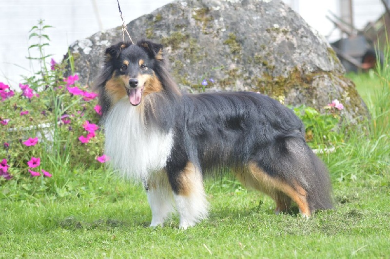 Publication : Of Queen Mum Auteur : Sandine Bohn