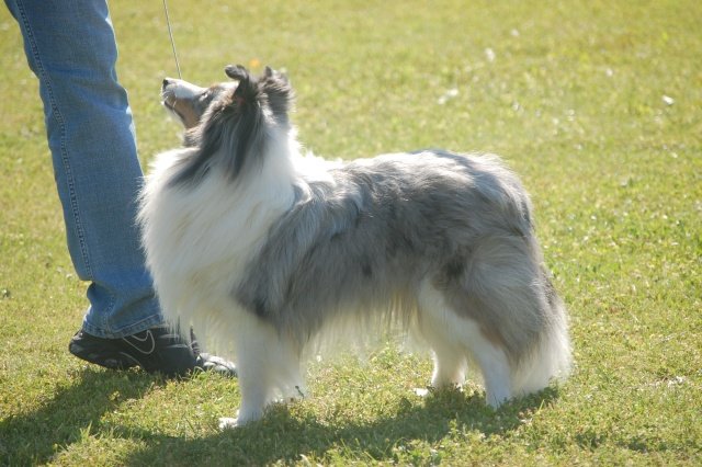 Publication : Of Queen Mum Auteur : Lupo Virginie