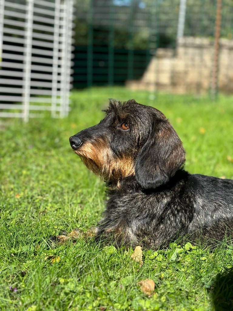 Tessi ambassadrice De La Clé Des Coeurs