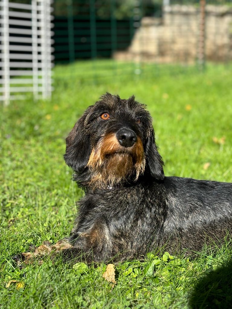 Tessi ambassadrice De La Clé Des Coeurs