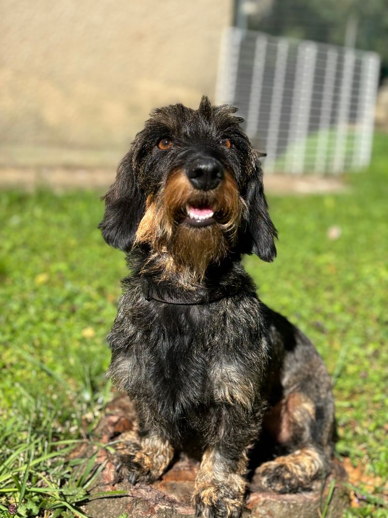 Tessi ambassadrice De La Clé Des Coeurs