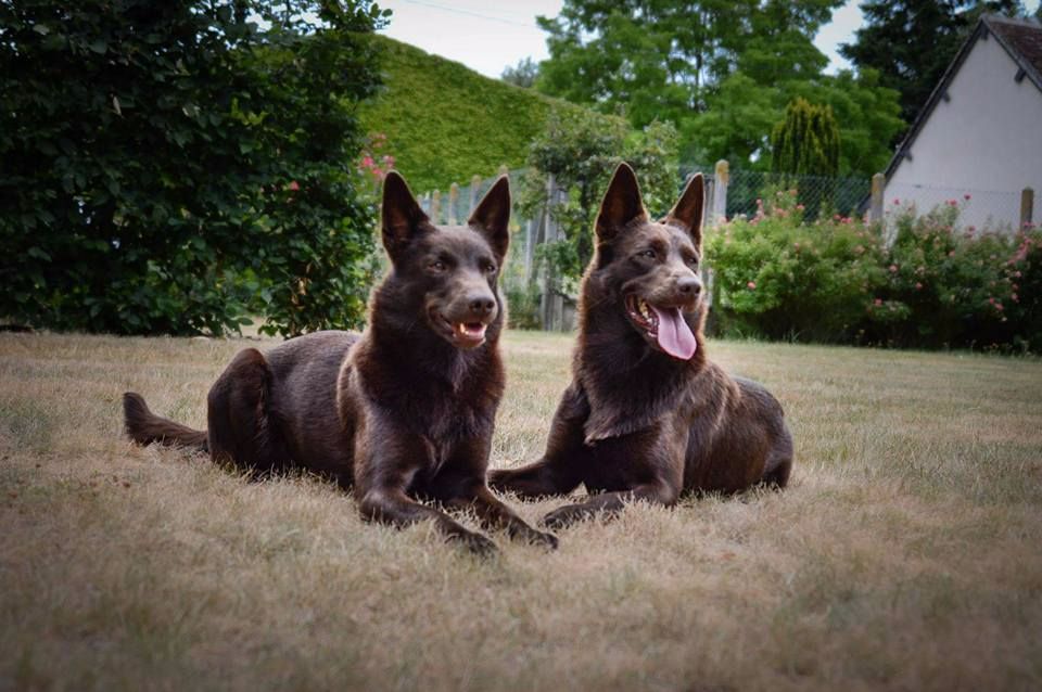 Publication : Spinefly