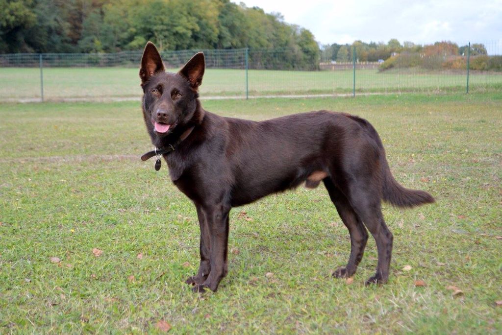 Publication : Spinefly