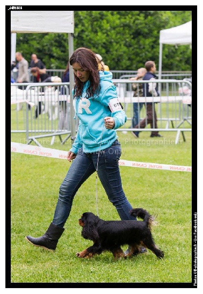 Gini du Clos de l'Arpège - 1ère EXCELLENT + CACS