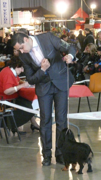 Gini du Clos de l'Arpège - 1ère EXCELLENT + CACS