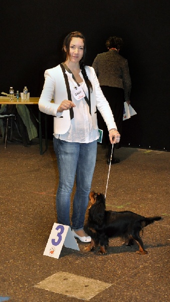 Gini du Clos de l'Arpège - 3ème EXCELLENT / 12