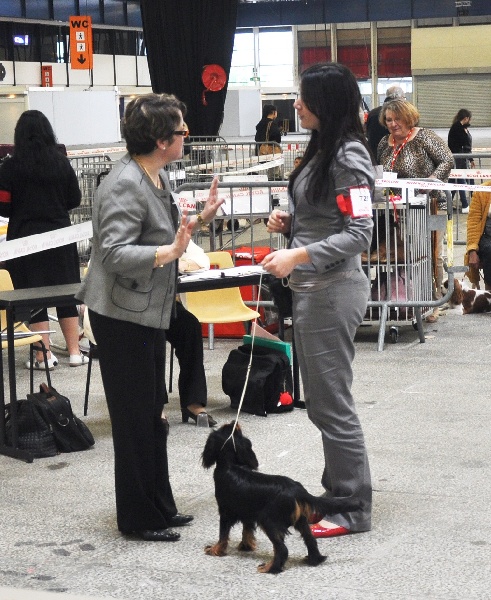 Gini du Clos de l'Arpège - Très prometteur