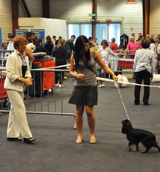 Gini du Clos de l'Arpège - TB non classé / 10