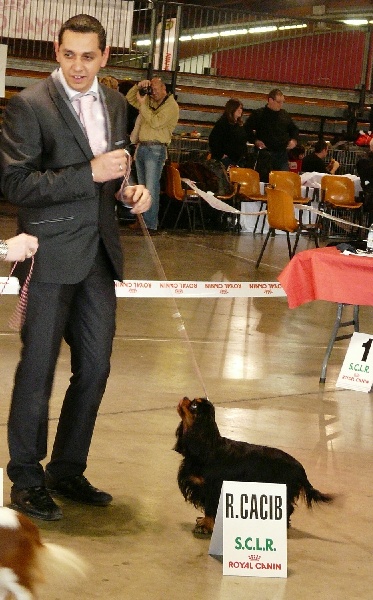 Gini du Clos de l'Arpège - 1ère EXCELLENT + CACS + RCACIB (récupérable)