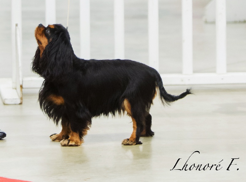 Gini du Clos de l'Arpège - 3ème EXCELLENT