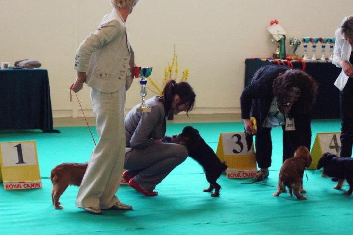 Gini du Clos de l'Arpège - 2ème Très prometteur / 8