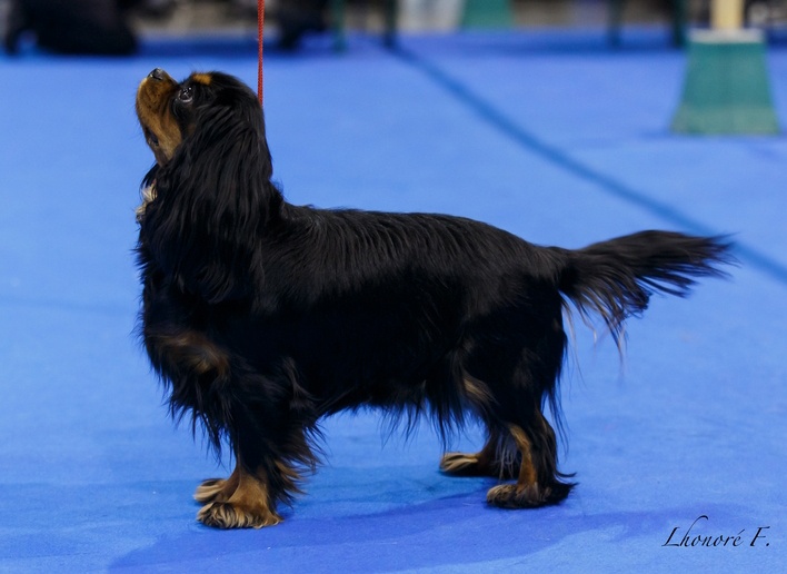 Gini du Clos de l'Arpège - EXCELLENT /10