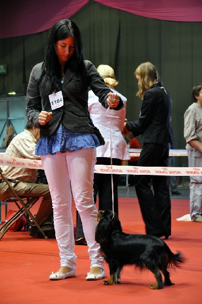 Gini du Clos de l'Arpège - 2eme EXCELLENT / 3