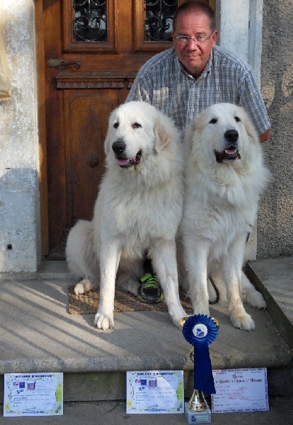 Ishka-perle De L'Ange Des Vosges Du Nord - 1ère Excellent en classe ouverte femelle