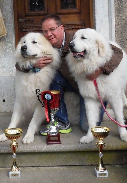 Ishka-perle De L'Ange Des Vosges Du Nord - 1er EXCLT avec CACS - Confirmée - en classe intermédiaire