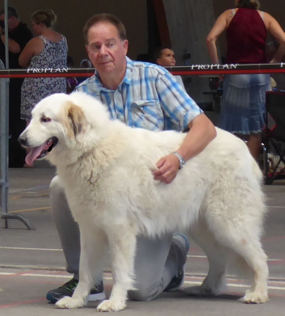 Iloha-hope De L'Ange Des Vosges Du Nord - 4ème EXCELLENT classe ouverte femelles