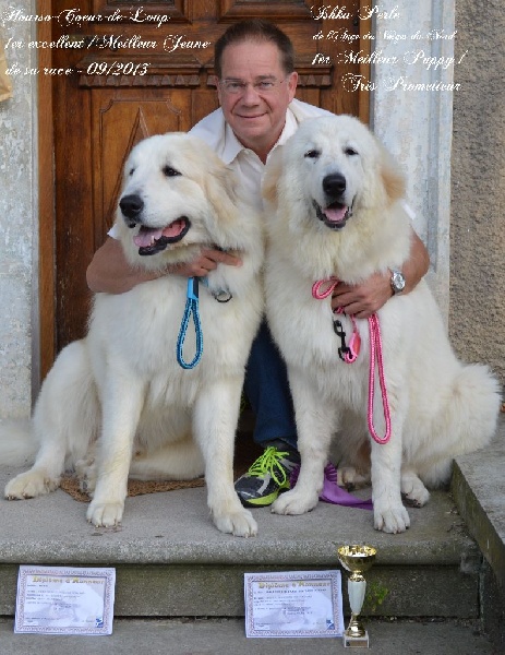 Ishka-perle De L'Ange Des Vosges Du Nord - 1er Meilleur Puppy de sa race - Très prometteur -