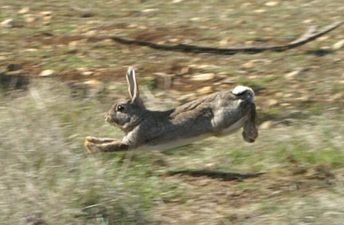 Heros De L'Echo Du Moulin Neuf - brevet B 120pts