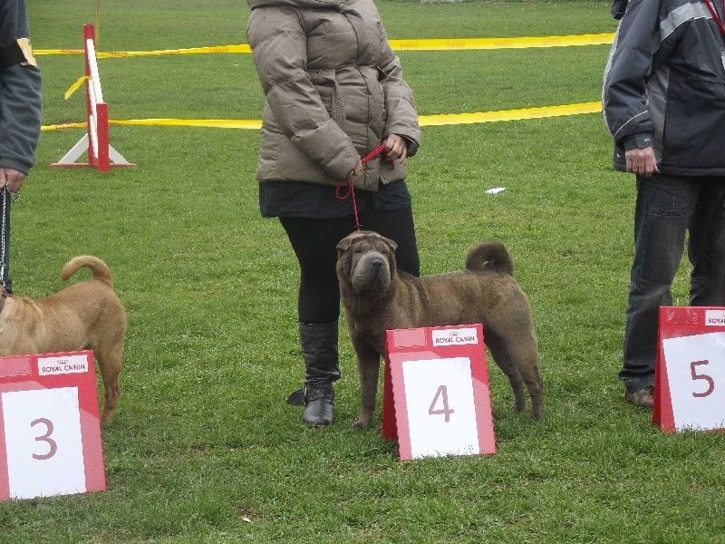 Festina des perles rares - 4 tres tres bon