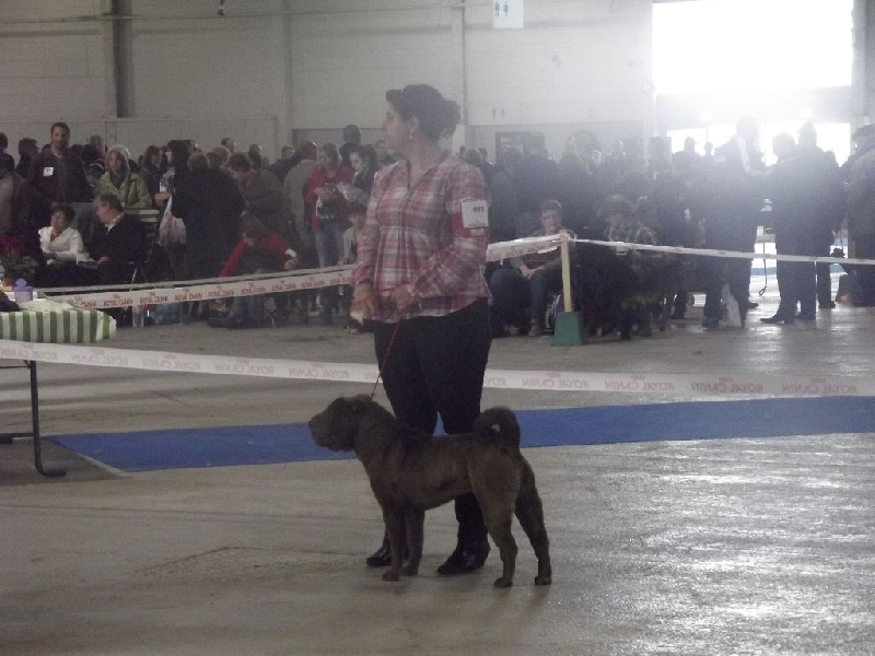 Festina des perles rares - 2 ème tres bon