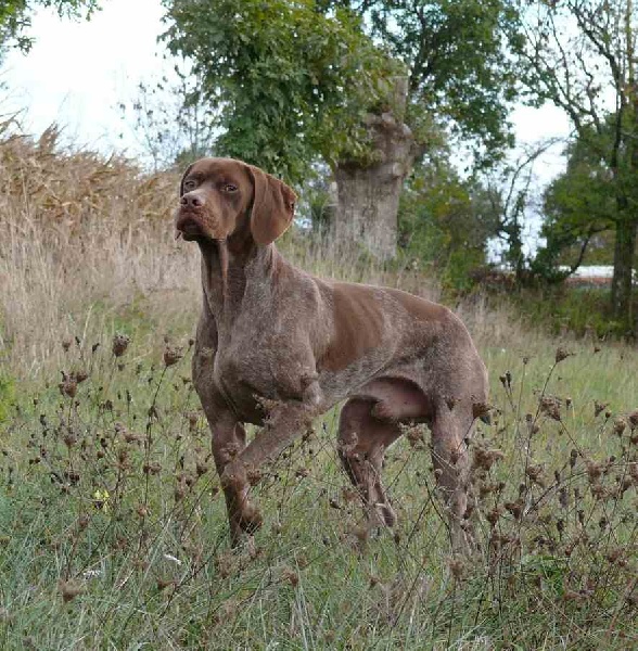 Publication : La Fuente Del Braco