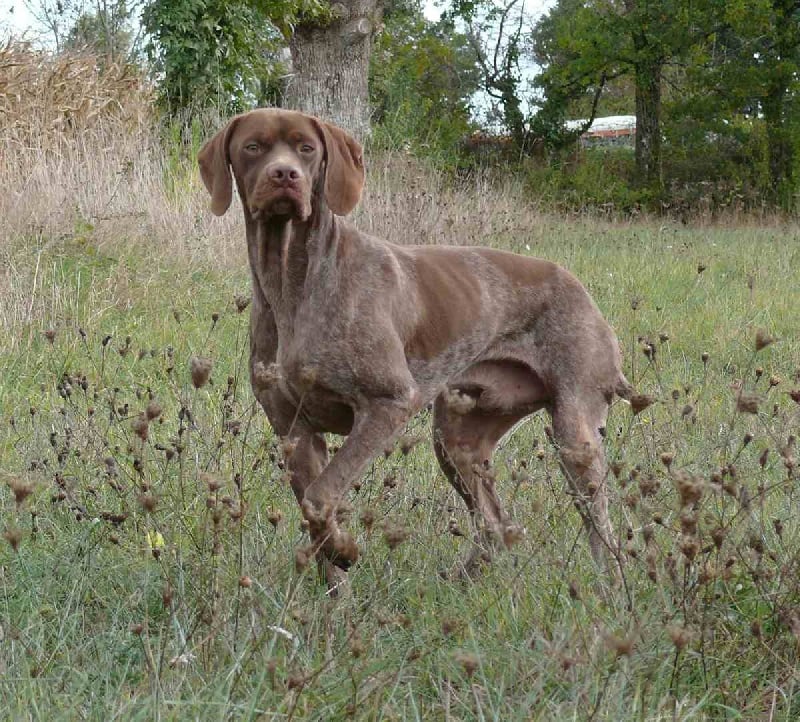 Publication : La Fuente Del Braco