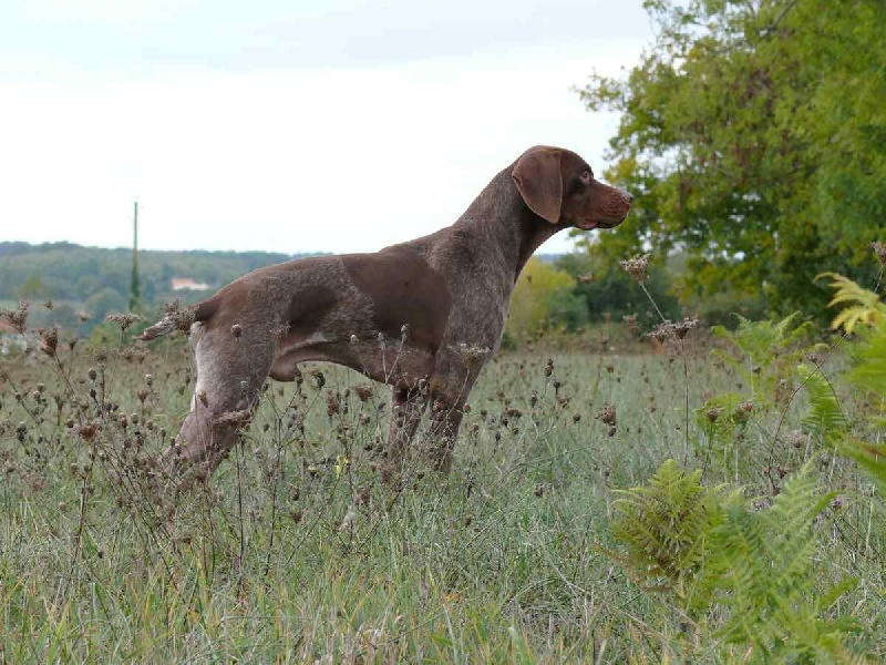 Publication : La Fuente Del Braco