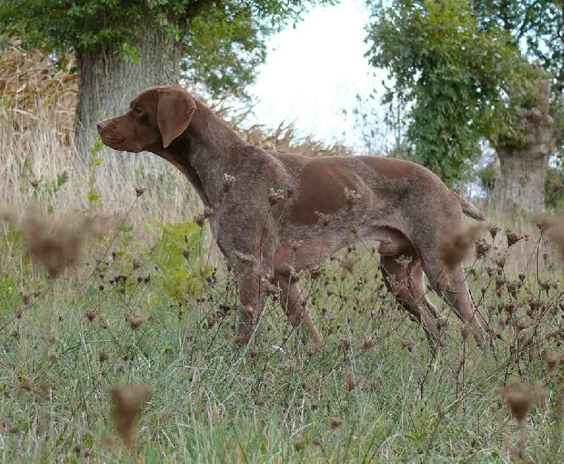 Publication : La Fuente Del Braco