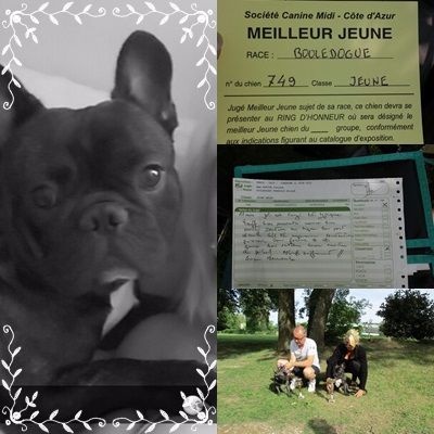 Jackson Du Domaine De Fontpetugue - 1 er excellent classe jeune meilleur jeune Meilleur de race