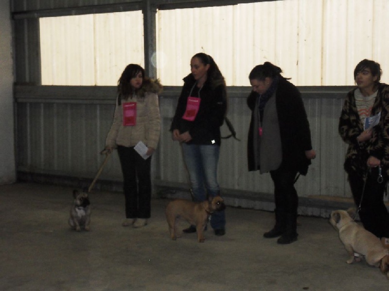 Inxs Du Domaine De Fontpetugue - Excellent