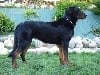 - NALA DU GRAND BUECH VIDEO