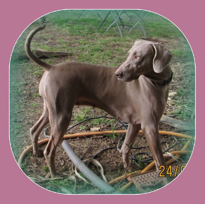 Hermione Soft Harmony