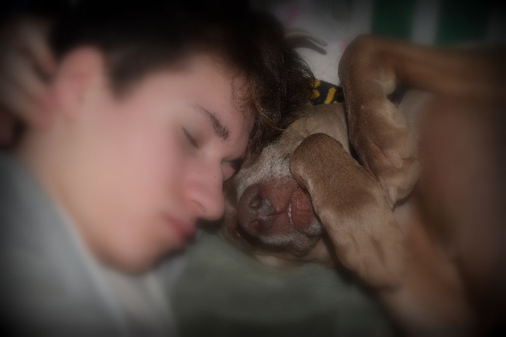 Hermione Soft Harmony