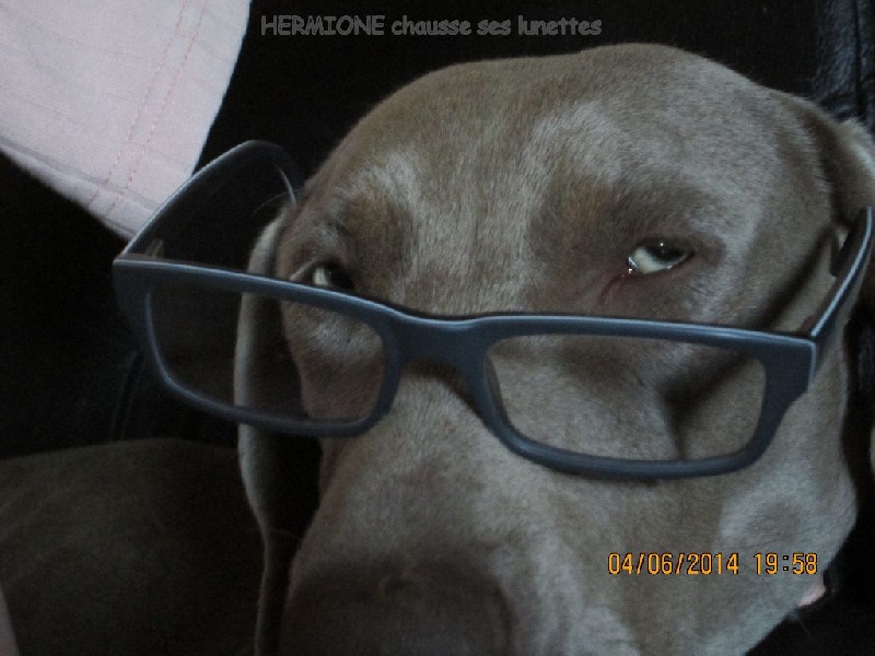 Hermione Soft Harmony