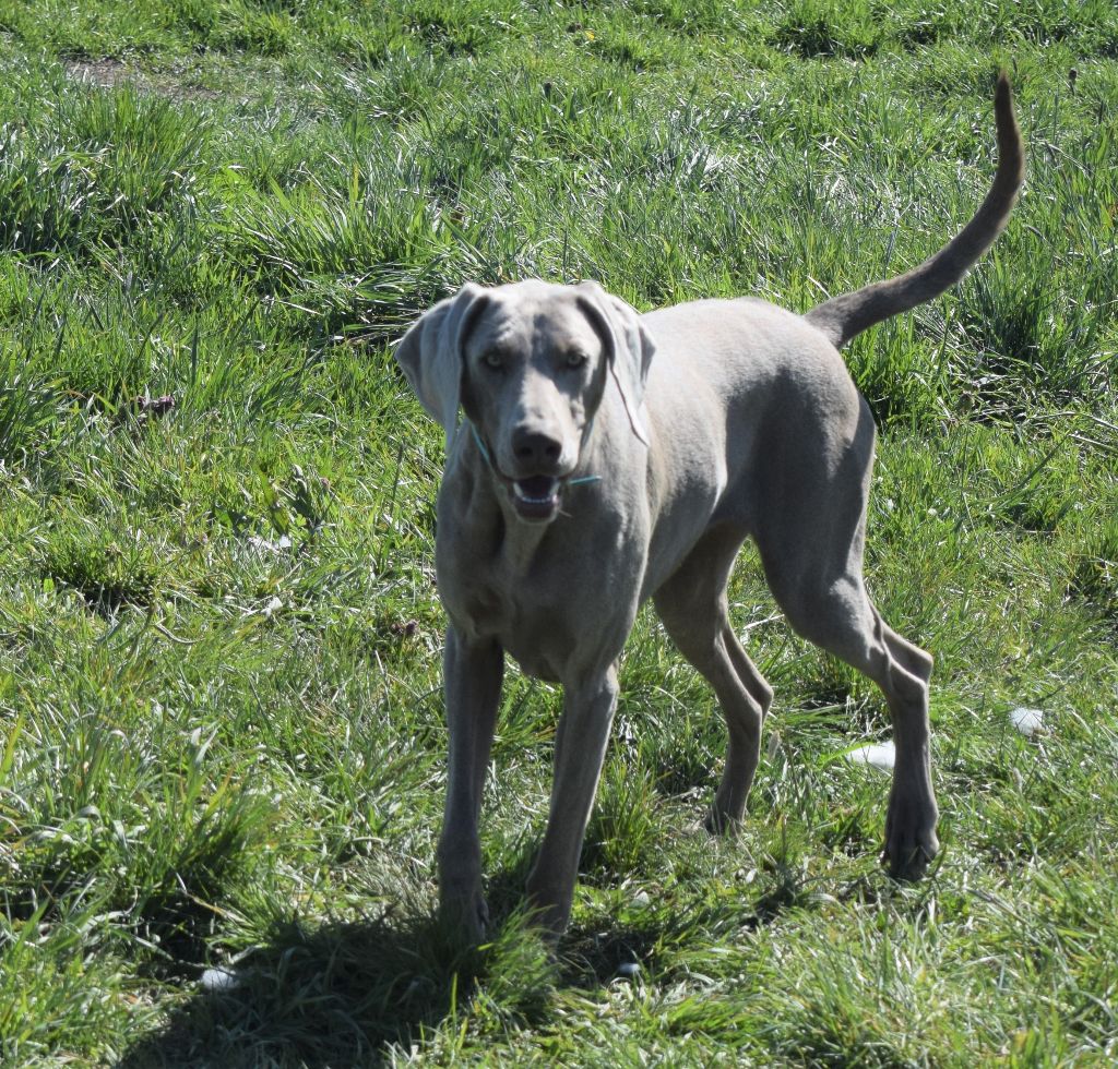 Publication : Soft Harmony Auteur : Nathalie BOUARD