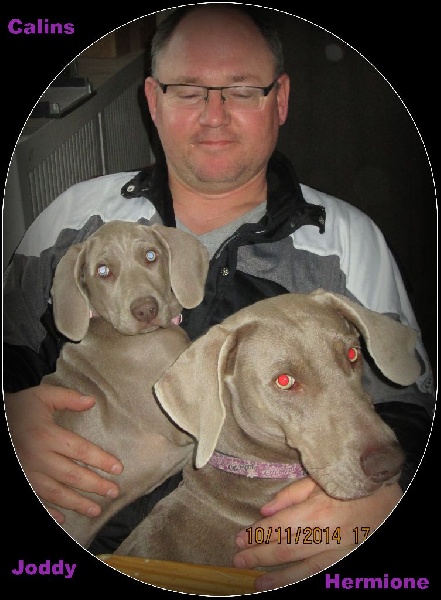 Hermione Soft Harmony